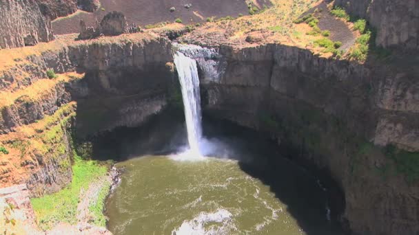 Palouse cai — Vídeo de Stock