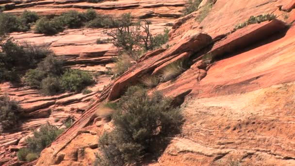 Vallée du monument — Video