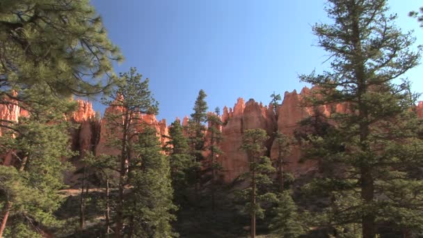 Bryce Canyon Ordförande — Stockvideo