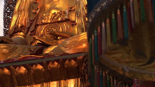 Goldene Buddhas — Stockvideo