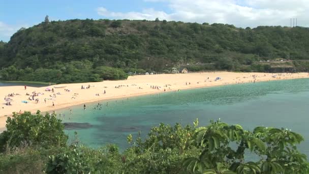 Waimea beach, zaman atlamalı — Stok video