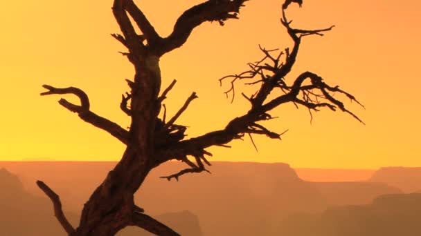 Sonnenuntergang im Grand Canyon — Stockvideo