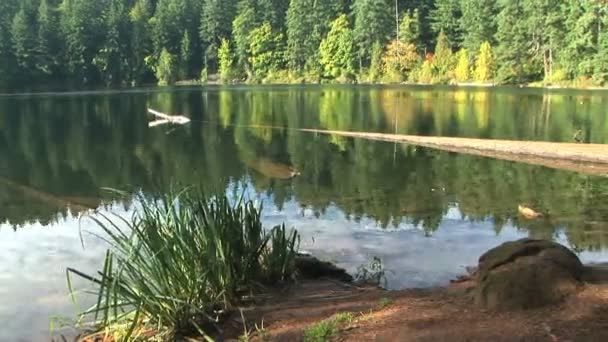 Lago Time Lapse, pan — Vídeos de Stock