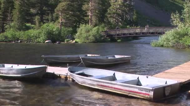 Csónakok és híd — Stock videók