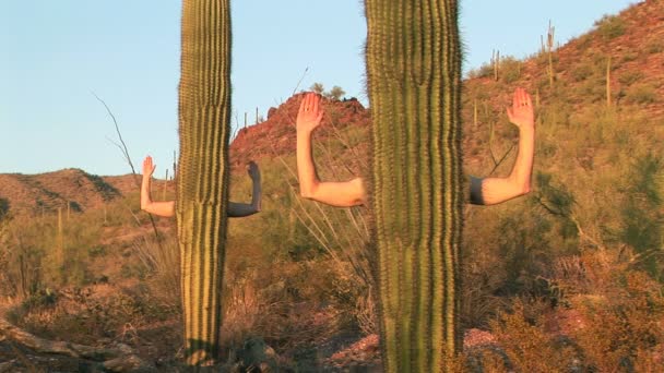 Menselijke cactus — Stockvideo