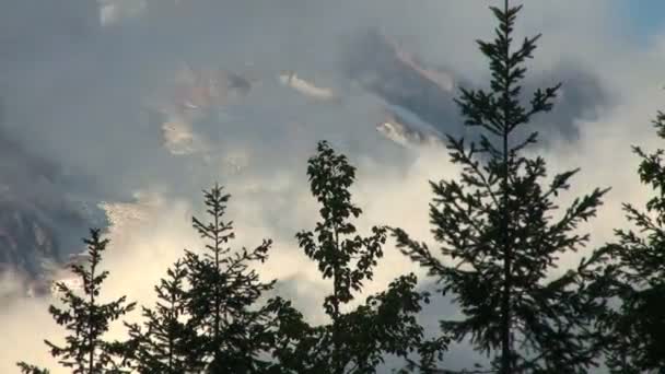 Monte Rainier — Vídeos de Stock