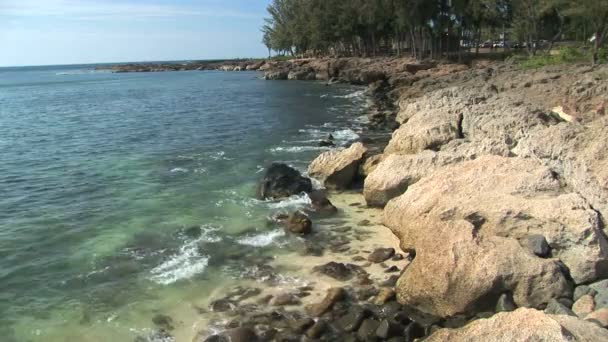 Playa rocosa hawaiana — Vídeos de Stock