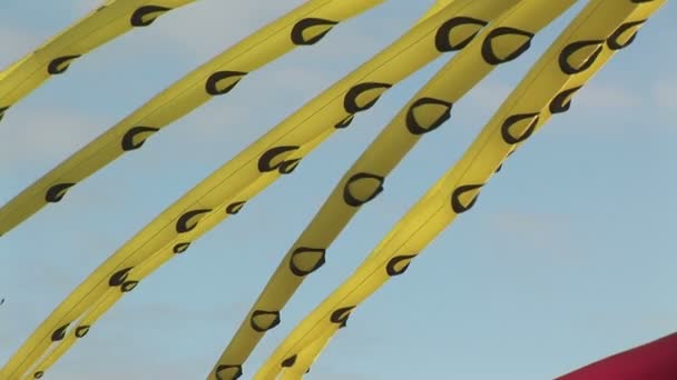 Восьминіг повітряних зміїв польоту — стокове відео