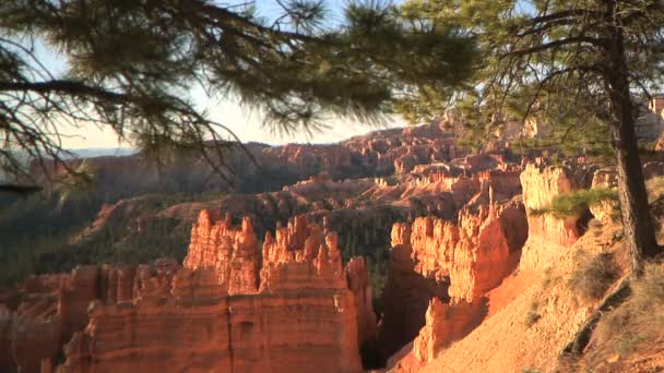 Bryce Canyon Ordförande — Stockvideo