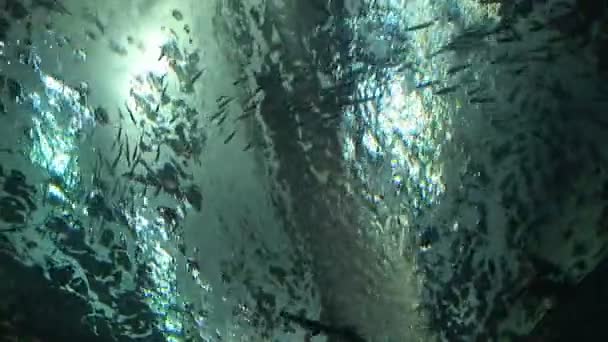 Underwater tunnel — Stock Video