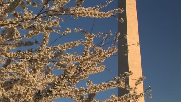 Monumento a Washington — Vídeos de Stock