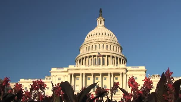 Capitolio de Estados Unidos, lapso de tiempo — Vídeos de Stock