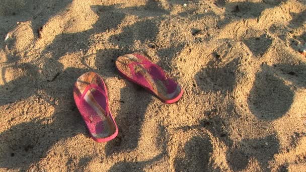 Pink Flip Flops — Stock Video