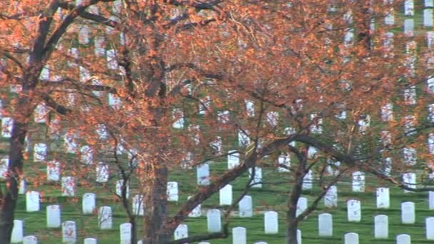 Cemitério Nacional de Arlington — Vídeo de Stock