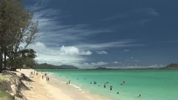 Ocean swimming, time lapse — Stock Video