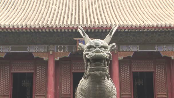 Estatua de dragón de bronce — Vídeo de stock