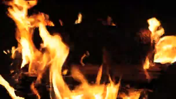 Вогонь ями — стокове відео