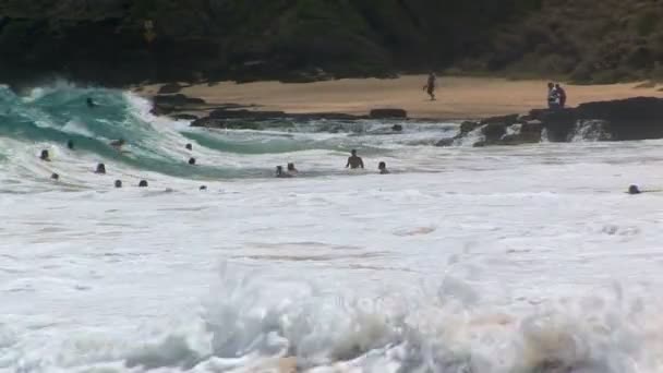 Пляж Ваймеа, временной промежуток — стоковое видео