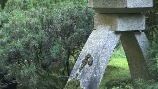 Japanese Stone Lantern Pagoda and Waterfall — Stock Video