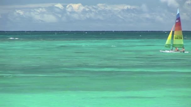 Männer im Segelboot — Stockvideo