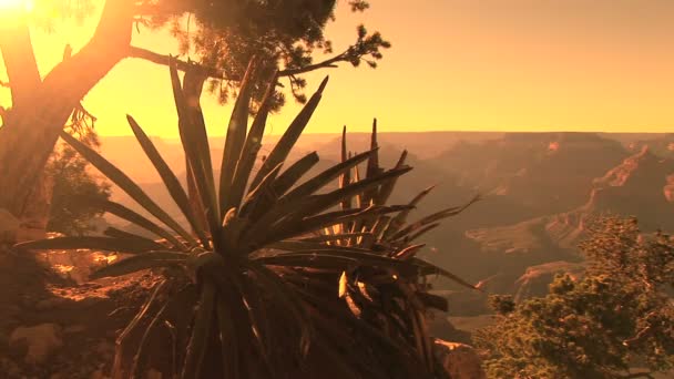 Grand canyon tramonto — Video Stock
