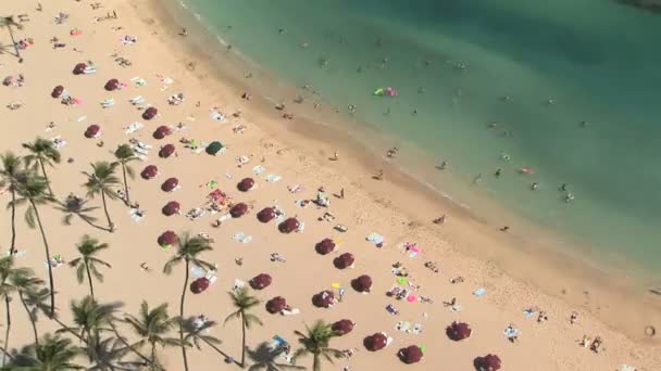 Waikiki beach, zaman atlamalı — Stok video