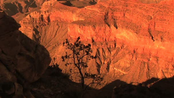 Grand Canyon Sunset — Stock Video