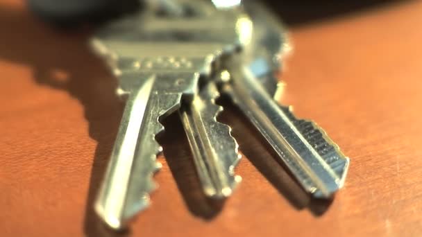 Set sleutels voor het — Stockvideo