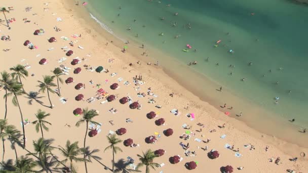Praia de Waikiki — Vídeo de Stock