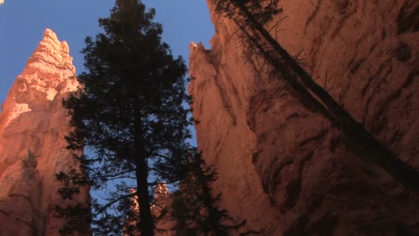 De Bryce Canyon — Stockvideo