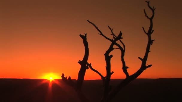 Grand canyon zachód słońca — Wideo stockowe