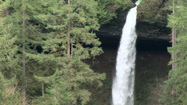 Cachoeira — Vídeo de Stock