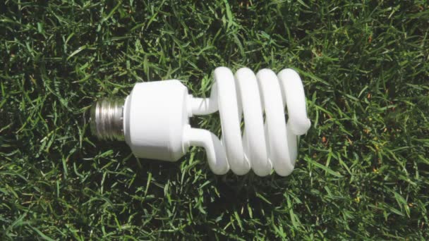 Energy saving light bulb — Stock Video