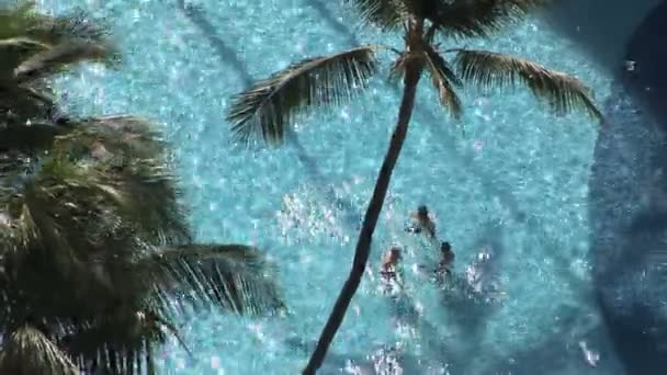 Piscina tropical — Vídeo de Stock