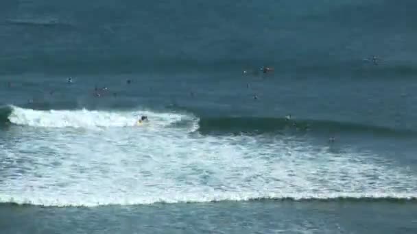 Surfistas de Hawaii — Vídeo de stock