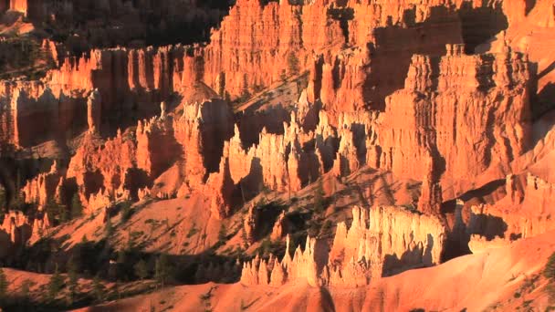 Bryce Canyon Ordförande — Stockvideo