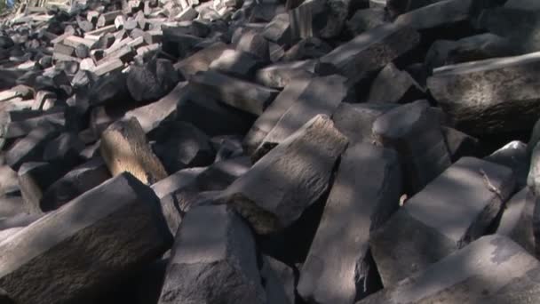 Ovansida av devils postpile — Stockvideo