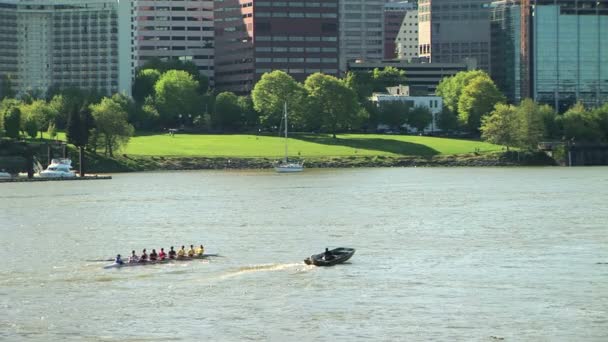 Oarsmen training on the Willamette river — Stock Video