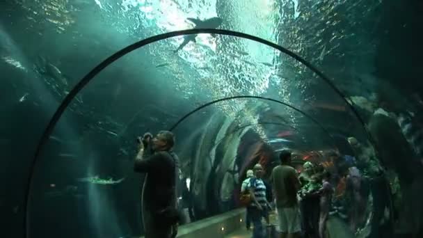 Underwater tunnel — Stock Video