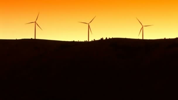 Wind turbines silhouette — Stock Video