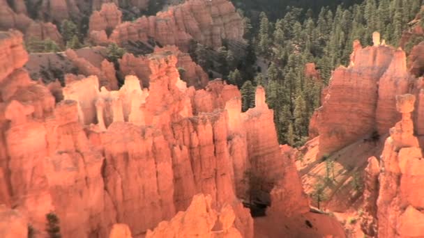 Bryce Canyon Ordförande — Stockvideo