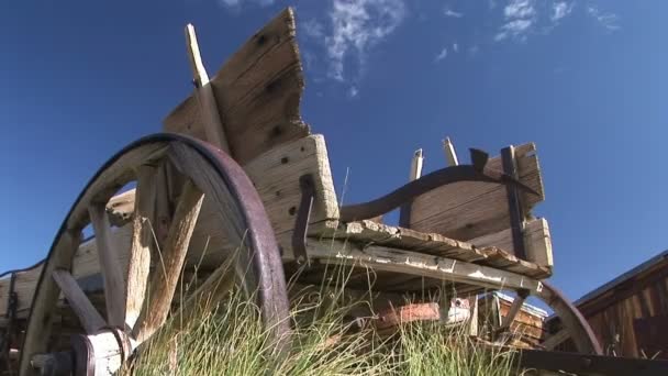古色古香的马车 — 图库视频影像
