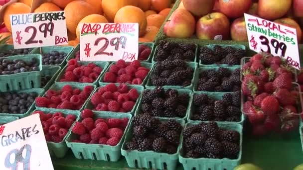 Arándanos, frambuesas, fresas y moras — Vídeo de stock