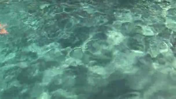 Völker schwimmen unter Wasser — Stockvideo