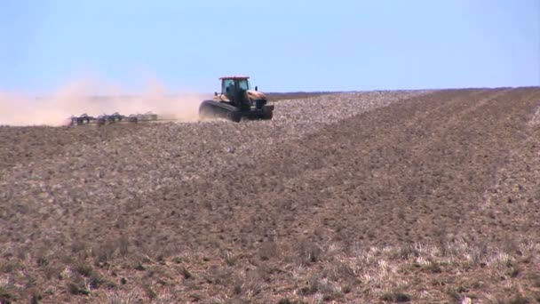 Tractor working the field — Stock Video