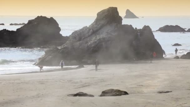 Névoa rolando na praia — Vídeo de Stock