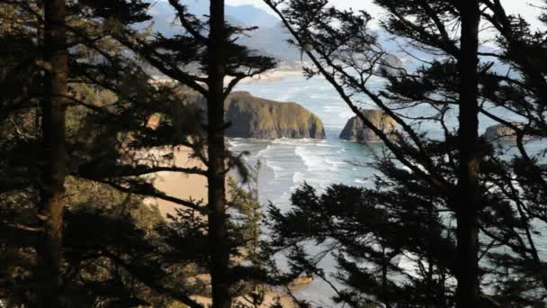 Oregon Coast Sunset — Stock Video