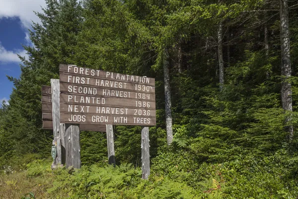 Tree farm information sign — Stock Photo, Image