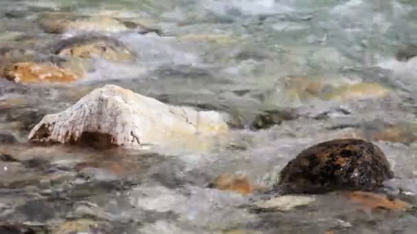 Tokkum Creek — Wideo stockowe