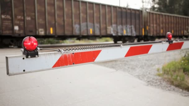 Railroad Crossing Barrier — Stock Video